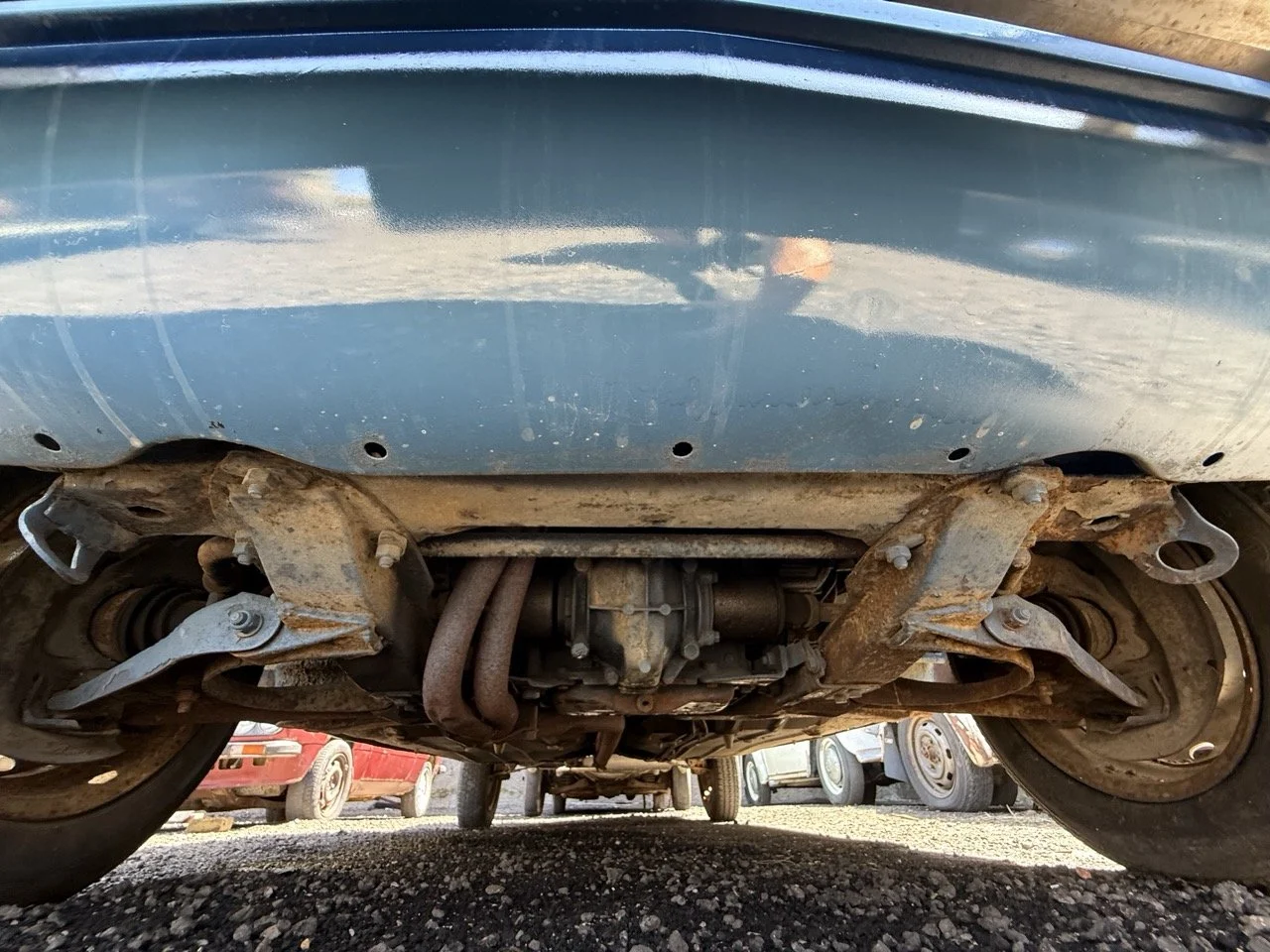 IMG_0817 – grande.jpeg