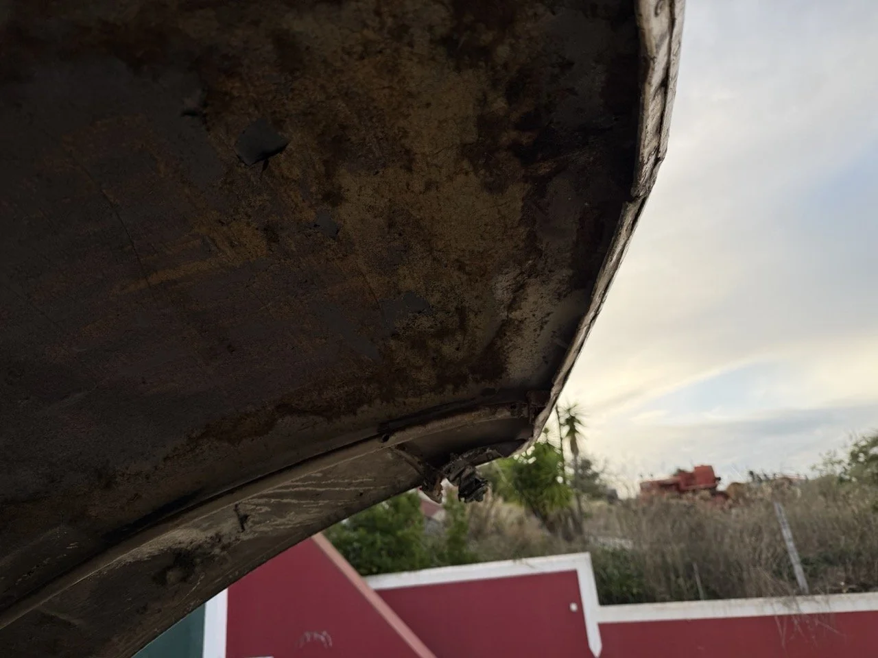 IMG_5974 2 – grande.jpeg