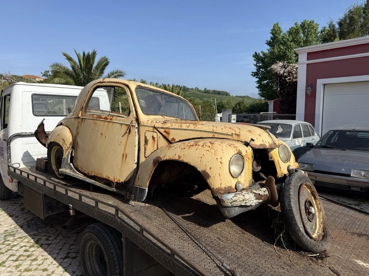 IMG_3162 – grande.jpeg