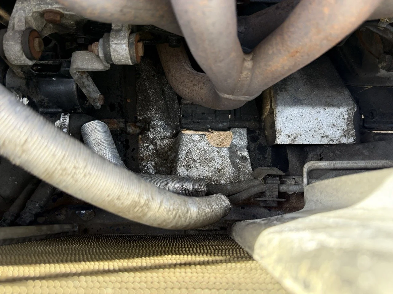 IMG_2427 – grande.jpeg