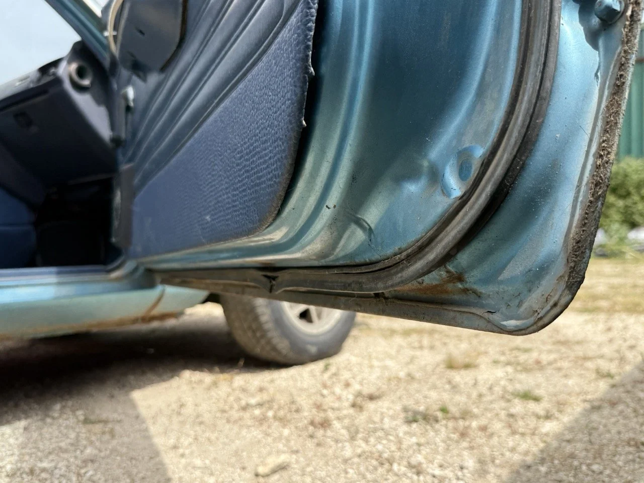 IMG_1548 – grande.jpeg