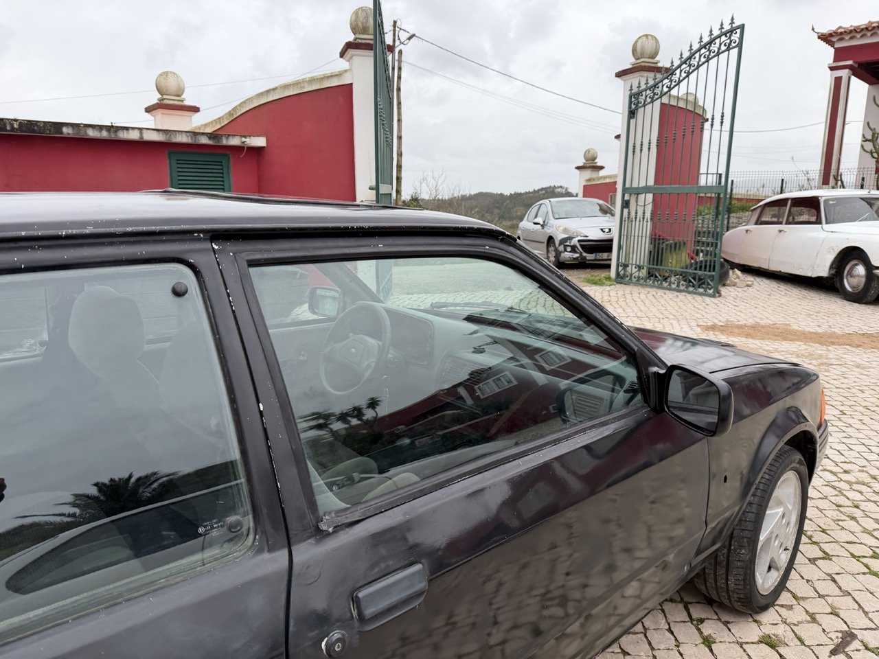 IMG_1317 – grande.jpeg