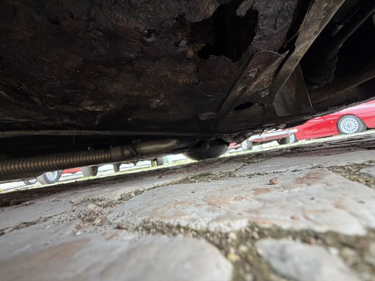 IMG_3788 – grande.jpeg