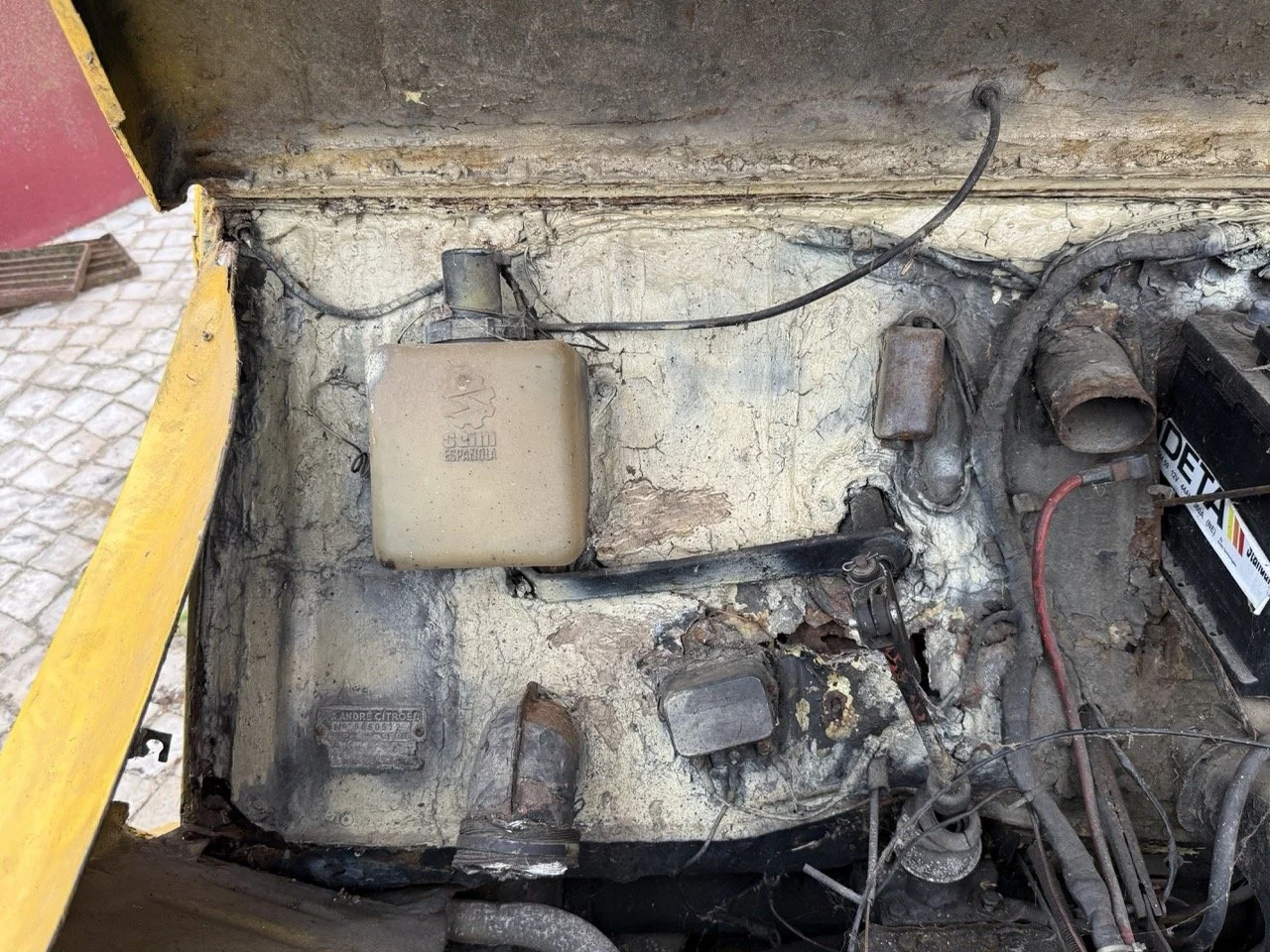 IMG_3830 – grande.jpeg