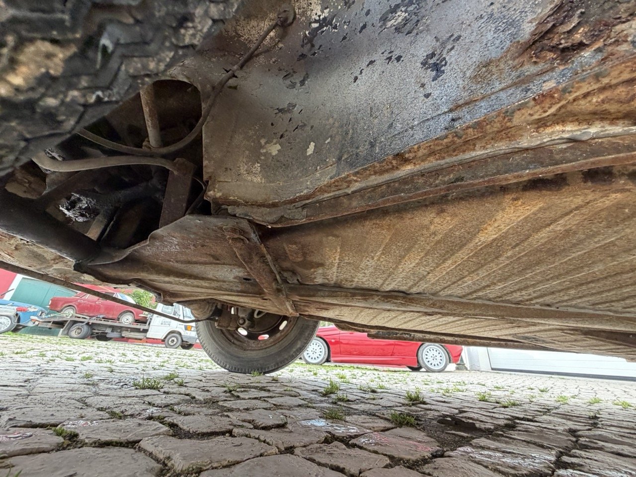 IMG_8686 – grande.jpeg