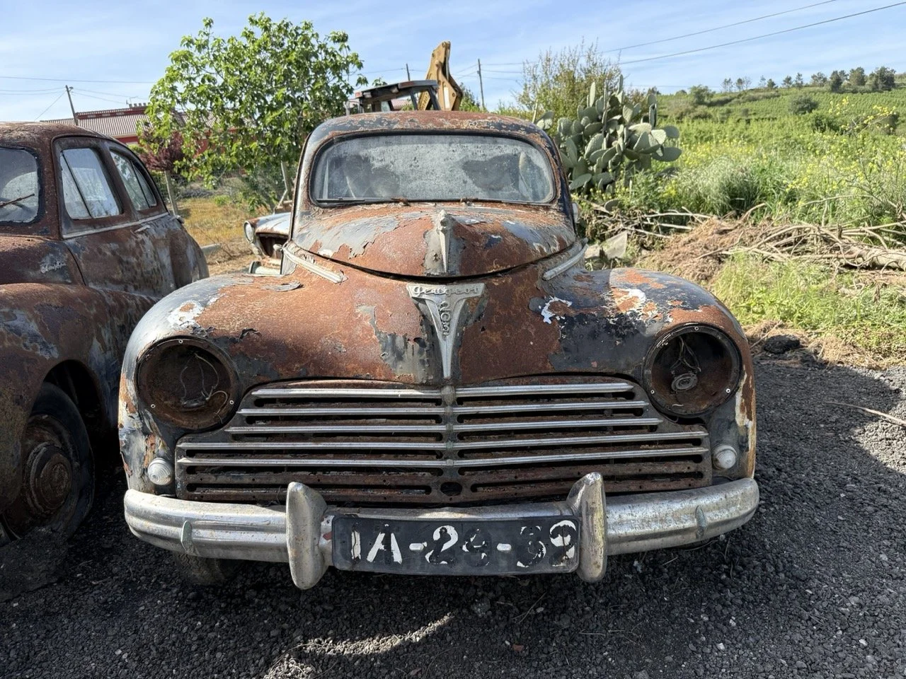 IMG_0387 – grande.jpeg