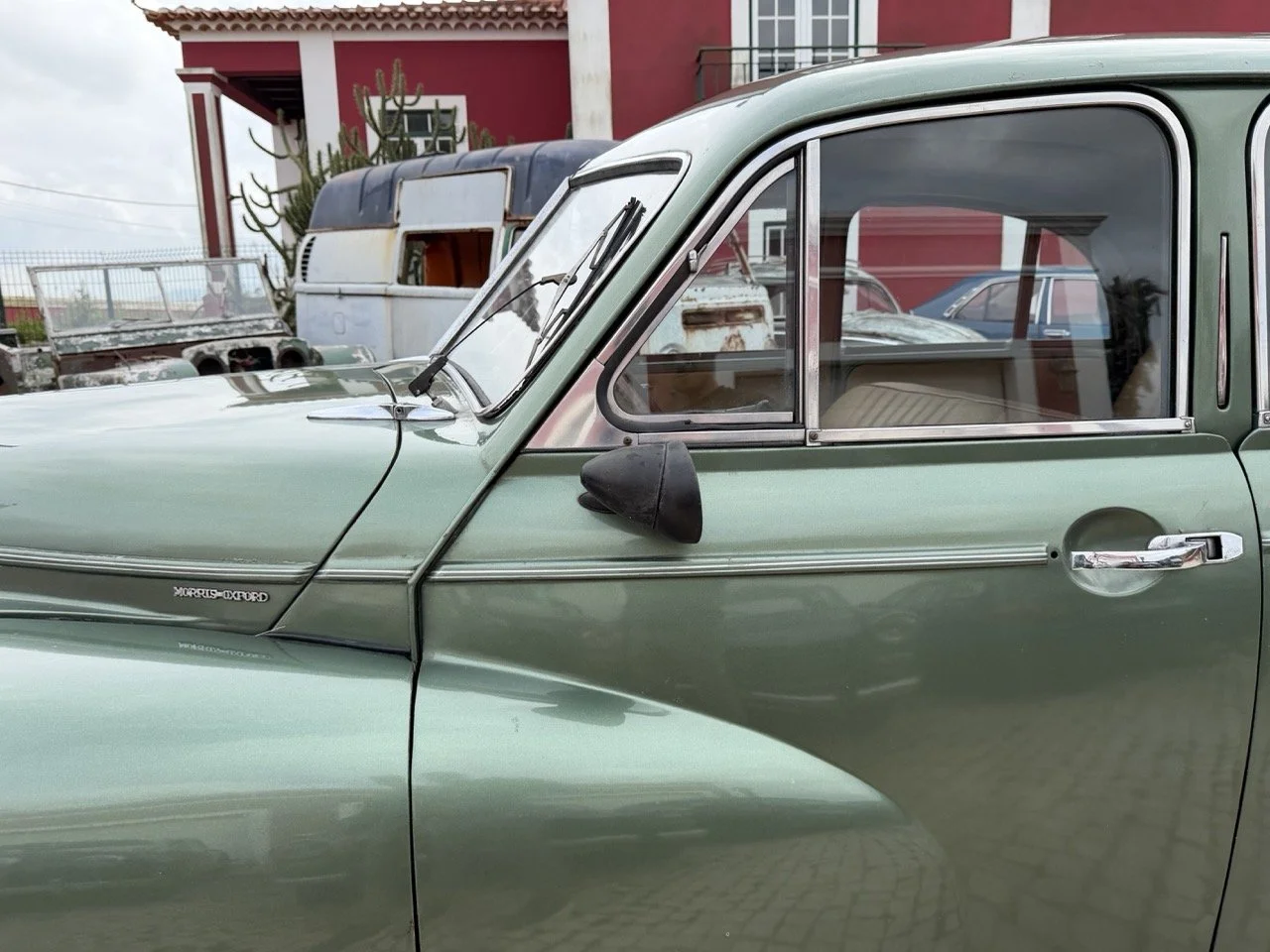 IMG_9879 – grande.jpeg