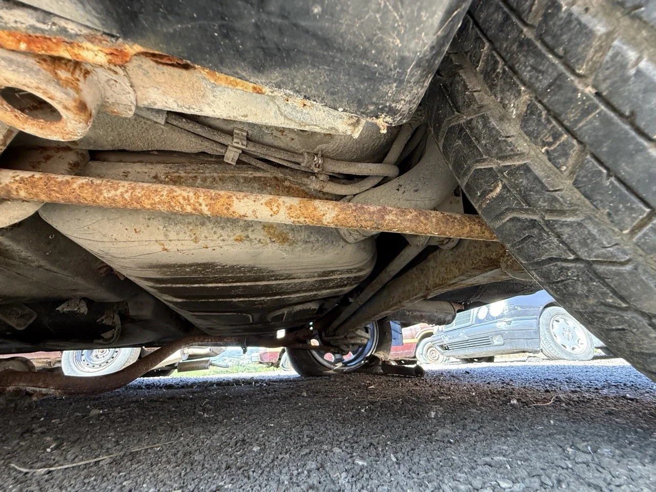 IMG_2948 – grande.jpeg