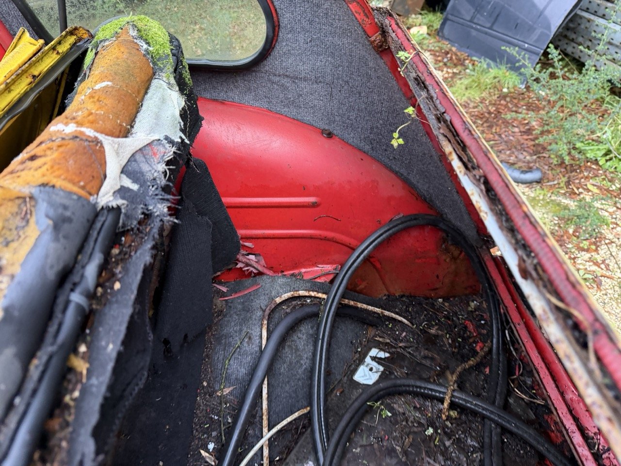 IMG_5479 – grande.jpeg