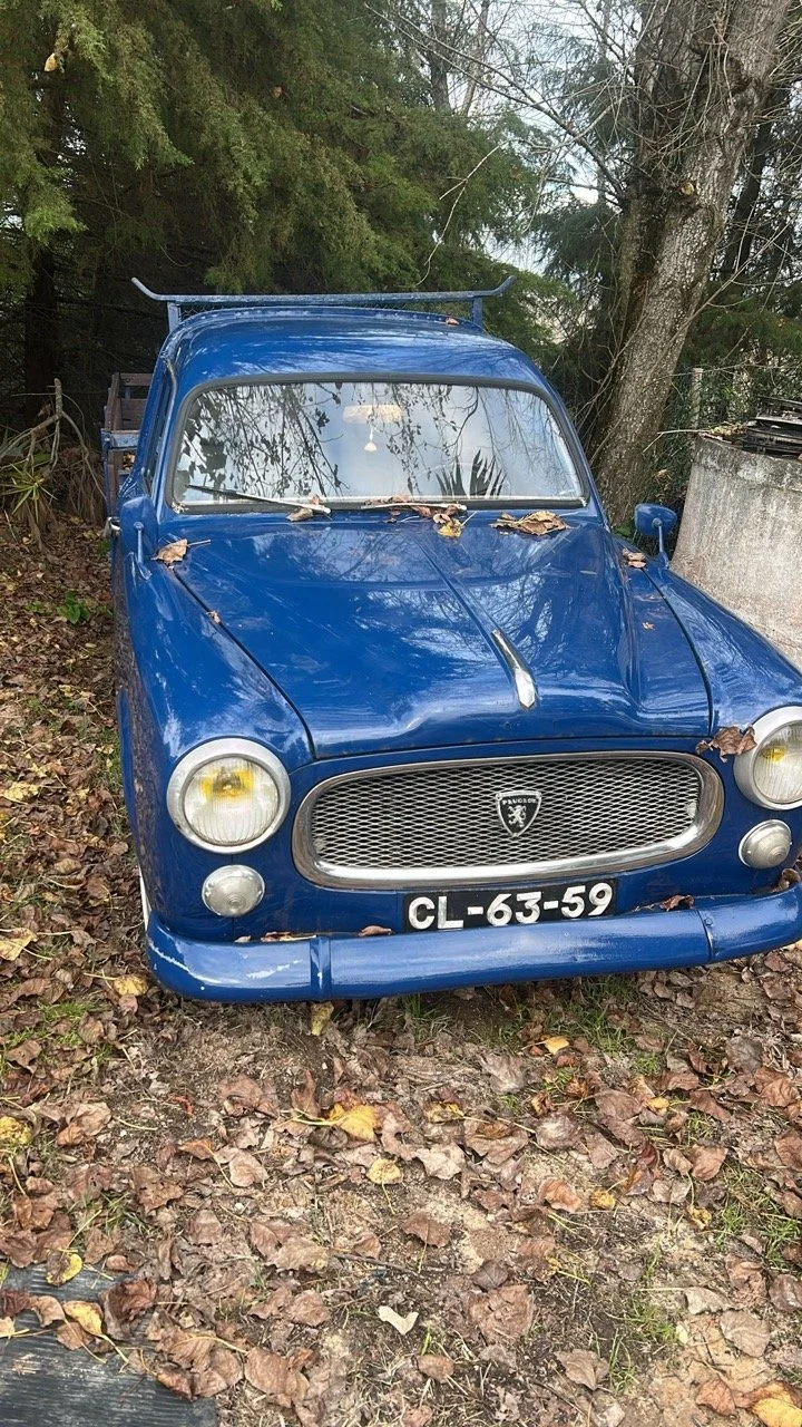 c5198ea4-47a5-4af2-a5dc-c8748f567310 – grande.jpeg