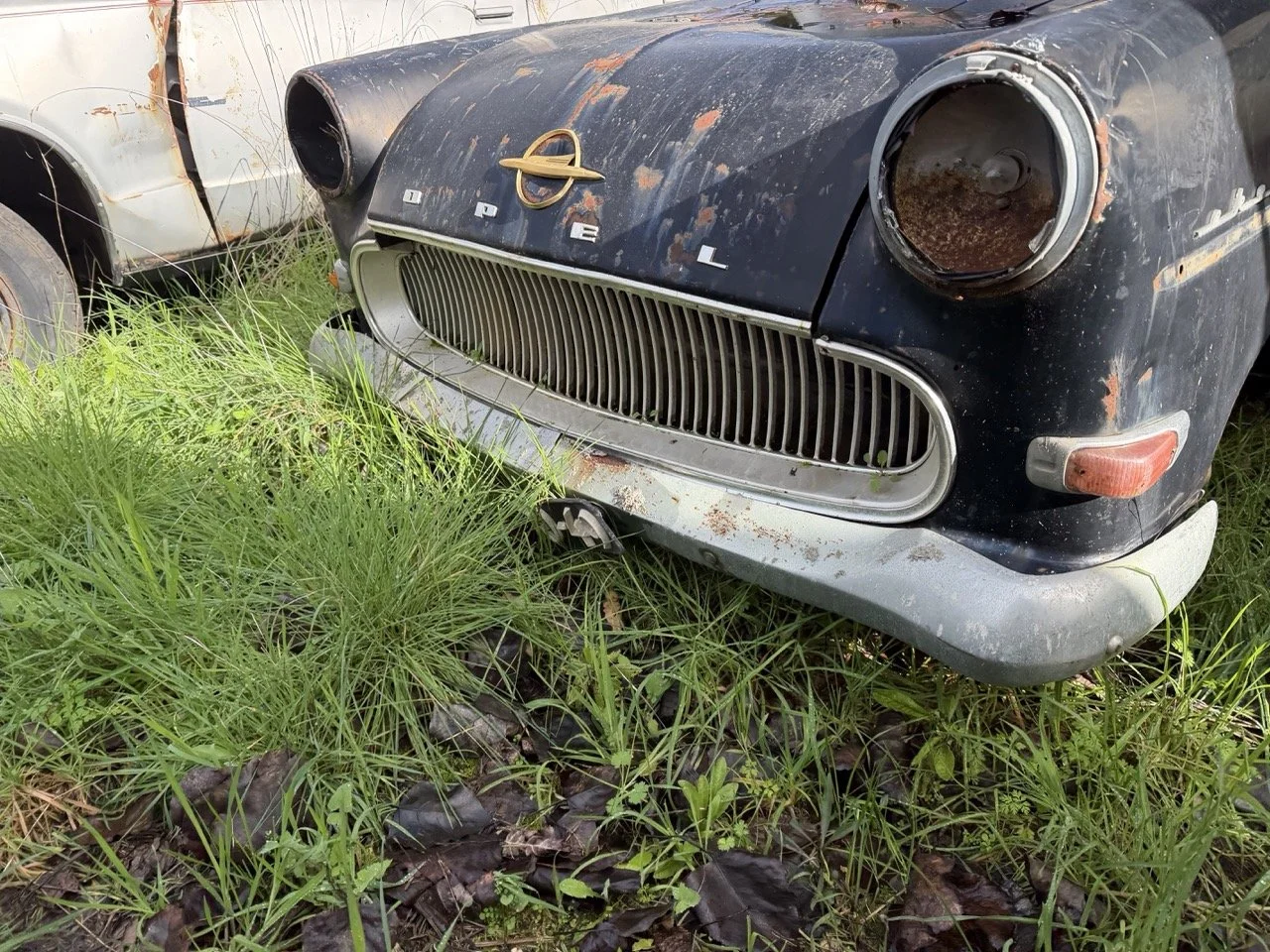 IMG_5033 – grande.jpeg