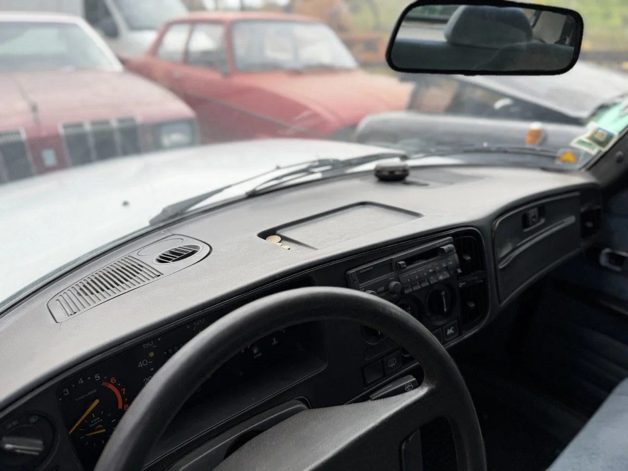 IMG_4990 – grande.jpeg