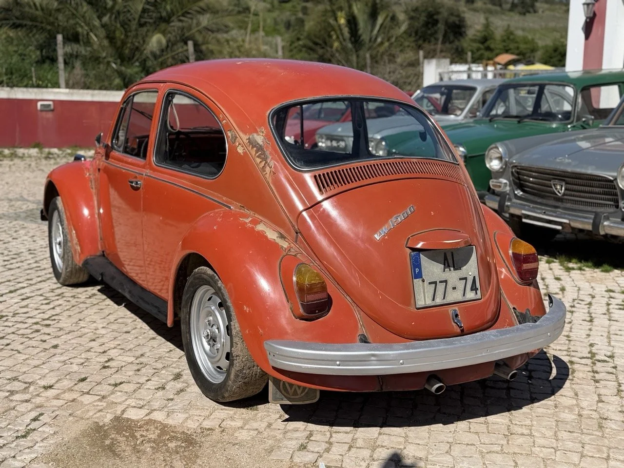 IMG_7514 – grande.jpeg