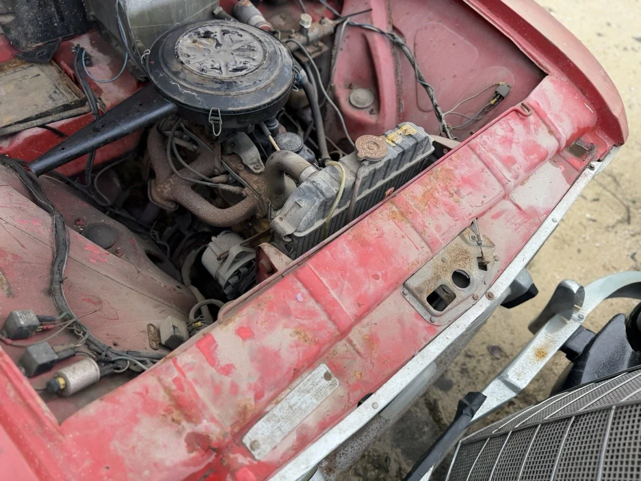 IMG_4978 – grande.jpeg