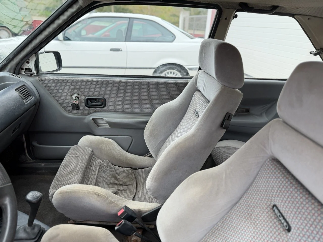 IMG_1268 – grande.jpeg