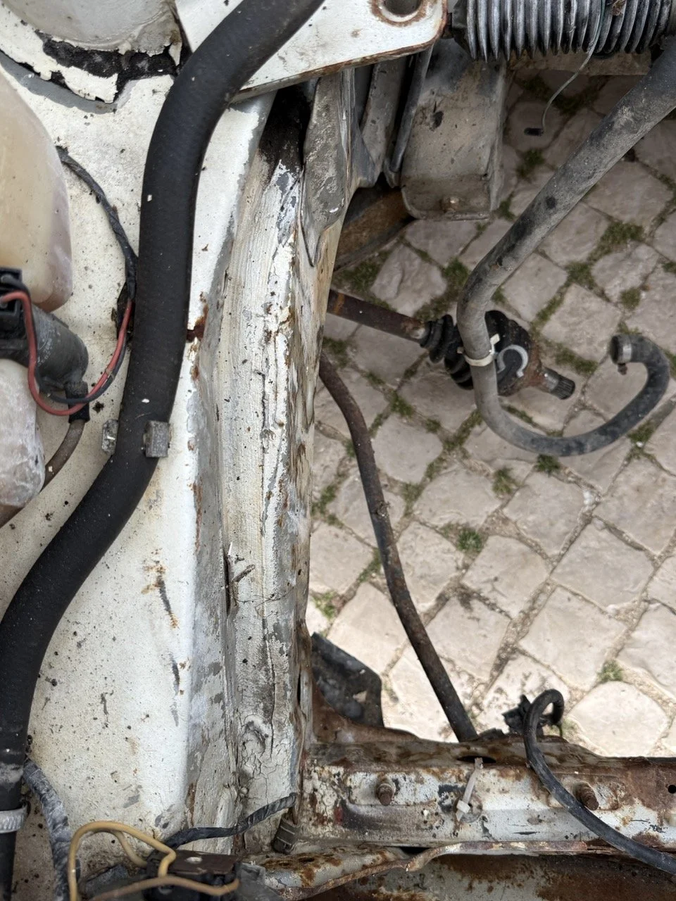 IMG_8555 – grande.jpeg