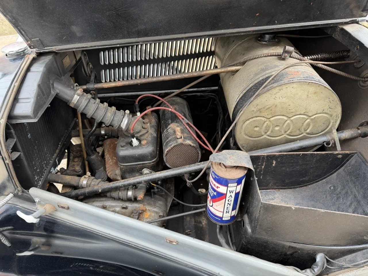 IMG_1449 – grande.jpeg