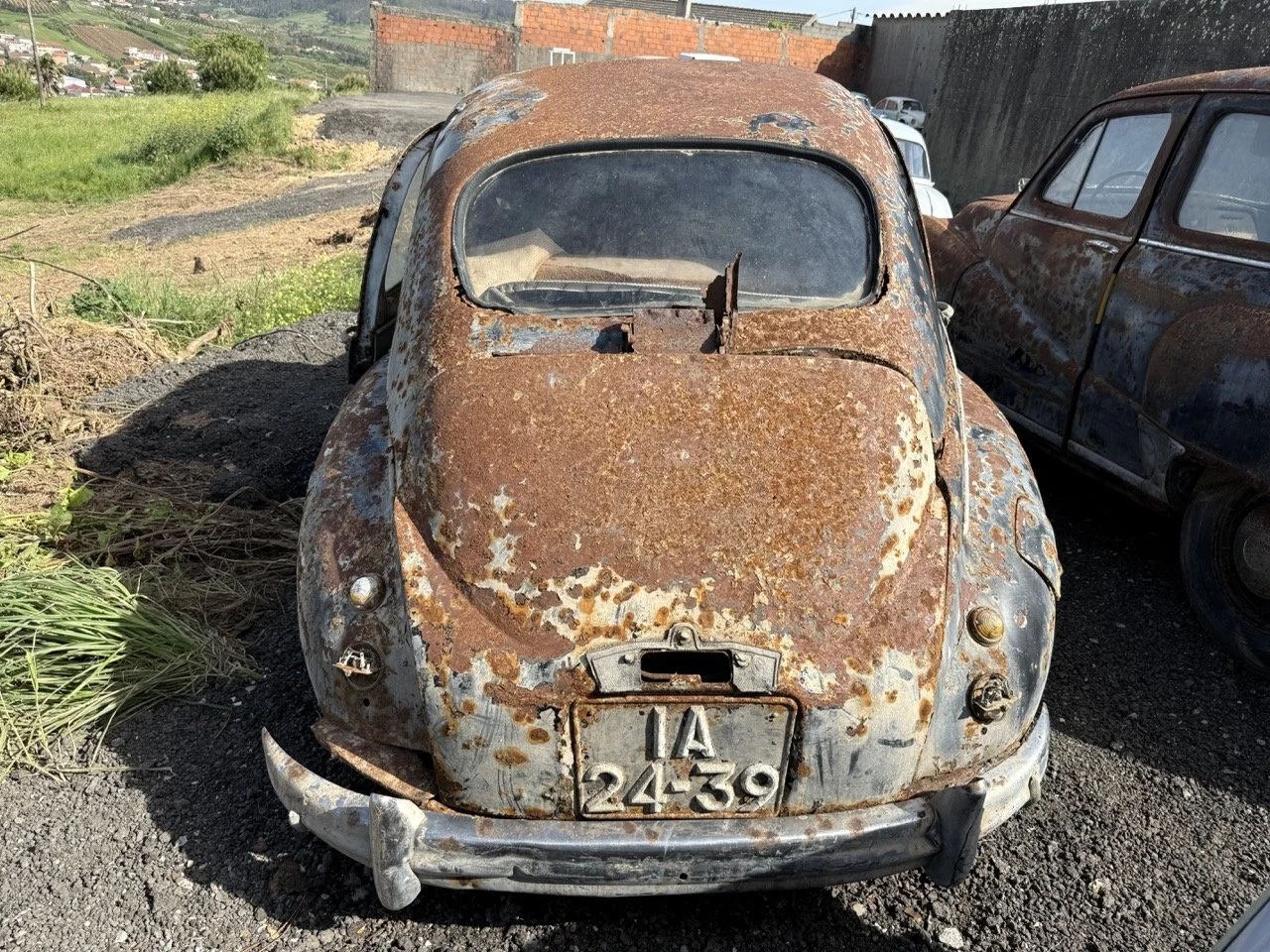 IMG_0392 – grande.jpeg