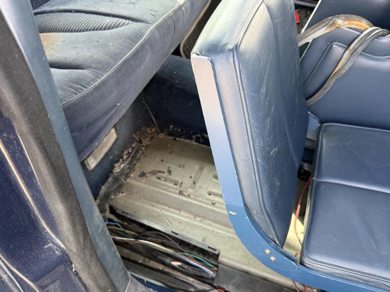 IMG_3435 – grande.jpeg