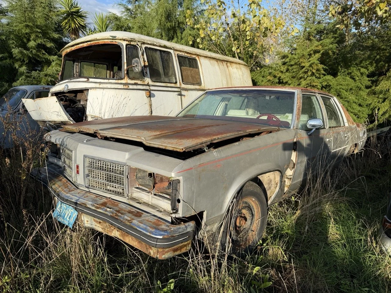 IMG_8972 2 – grande.jpeg