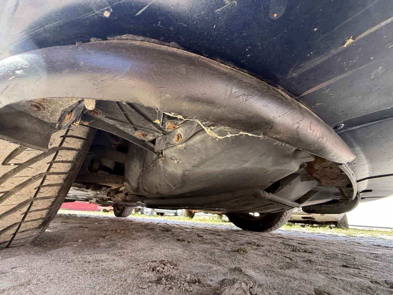 IMG_2518 – grande.jpeg