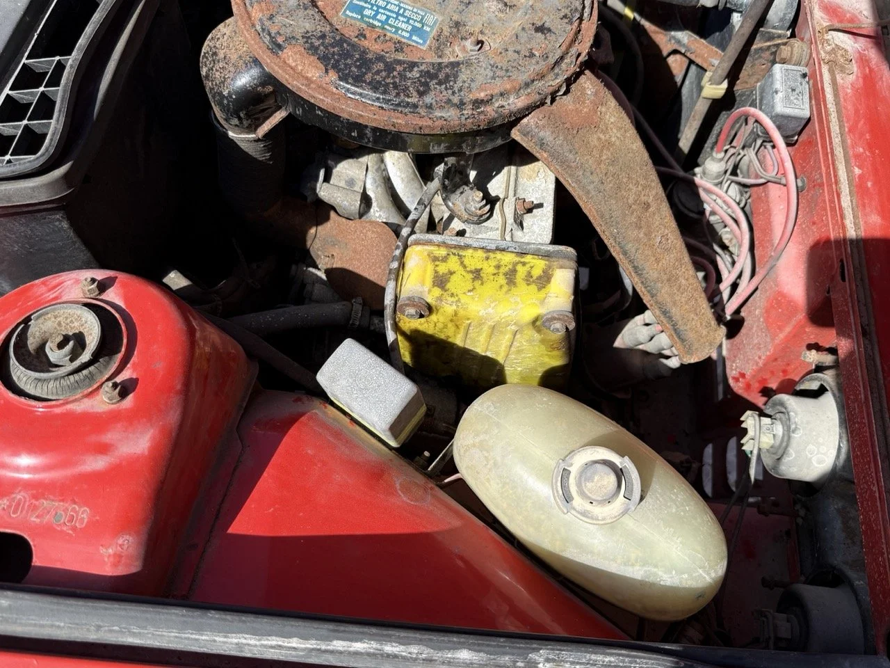 IMG_2295 – grande.jpeg