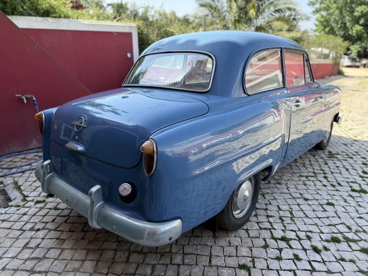 IMG_3493 – grande.jpeg