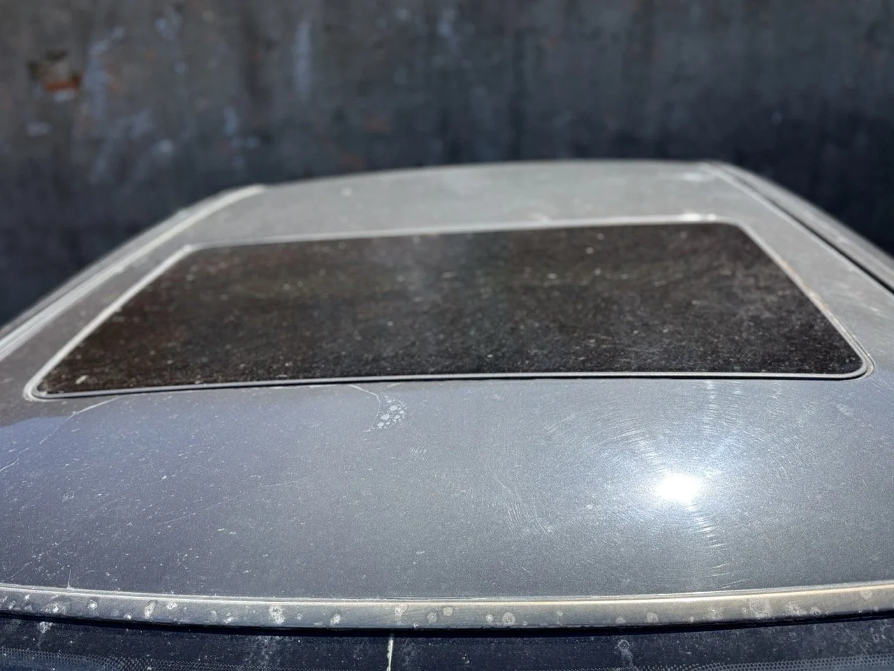 IMG_1811 – grande.jpeg