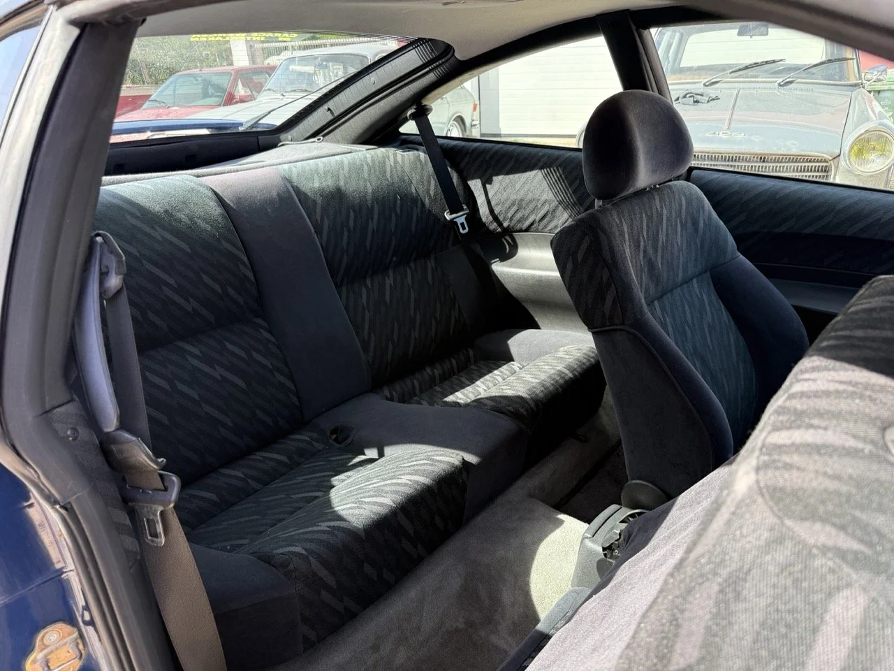 IMG_2408 – grande.jpeg