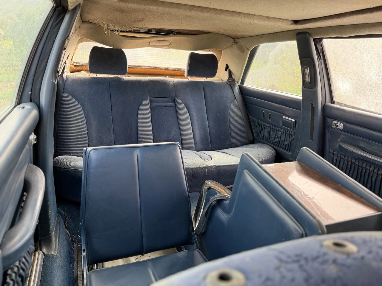 IMG_3381 – grande.jpeg