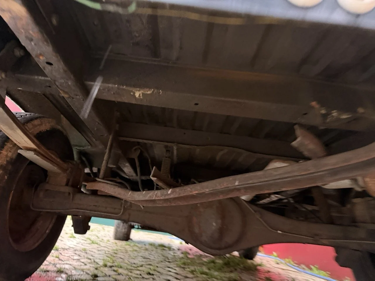 IMG_9986 – grande.jpeg