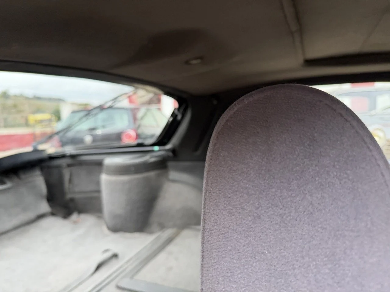 IMG_9733 – grande.jpeg