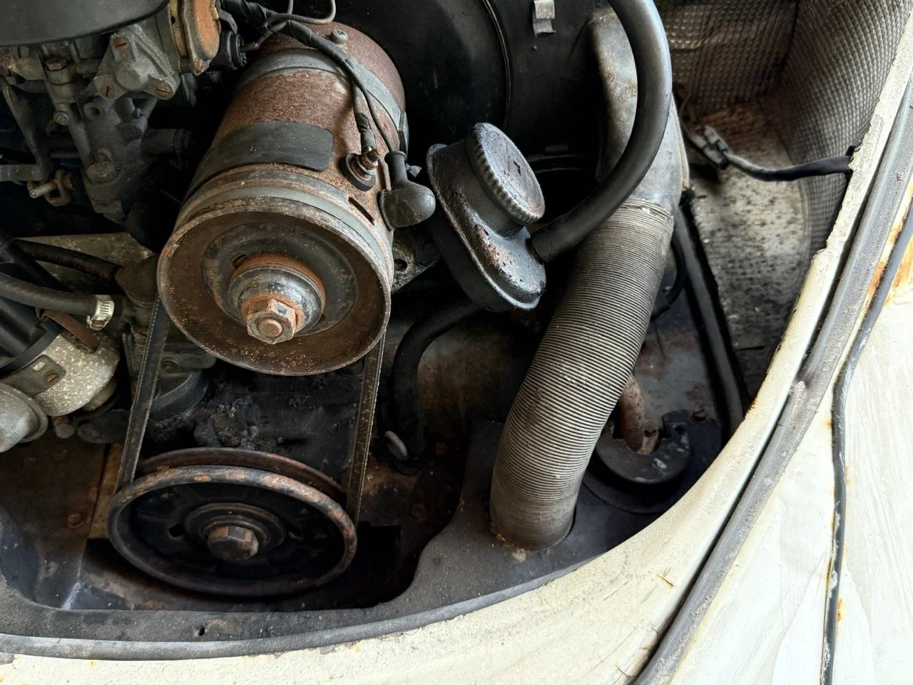 IMG_0704 – grande.jpeg