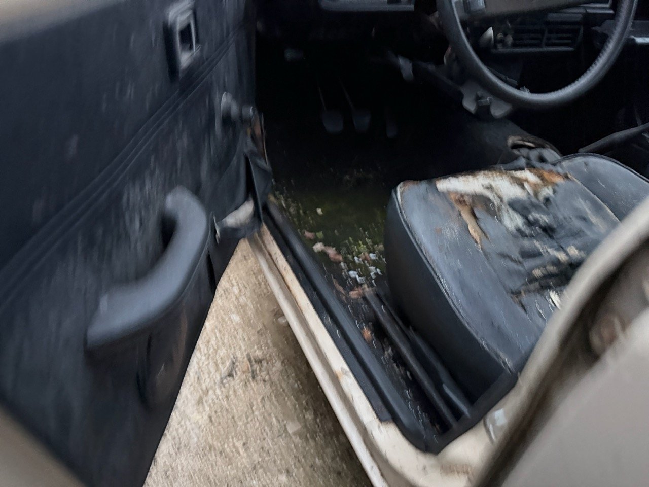 IMG_0238 – grande.jpeg