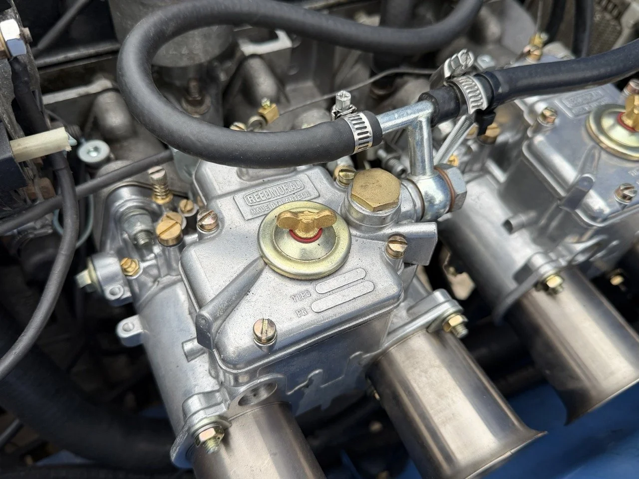 IMG_6023 – grande.jpeg