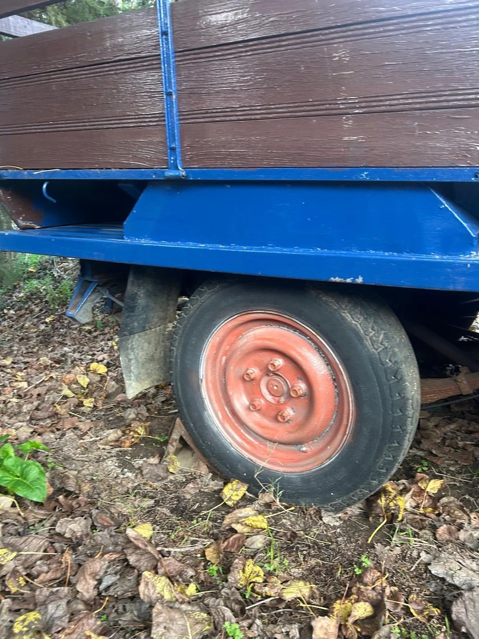 96fe03fa-52b3-44f0-8c3b-3c9696009f05 – grande.jpeg