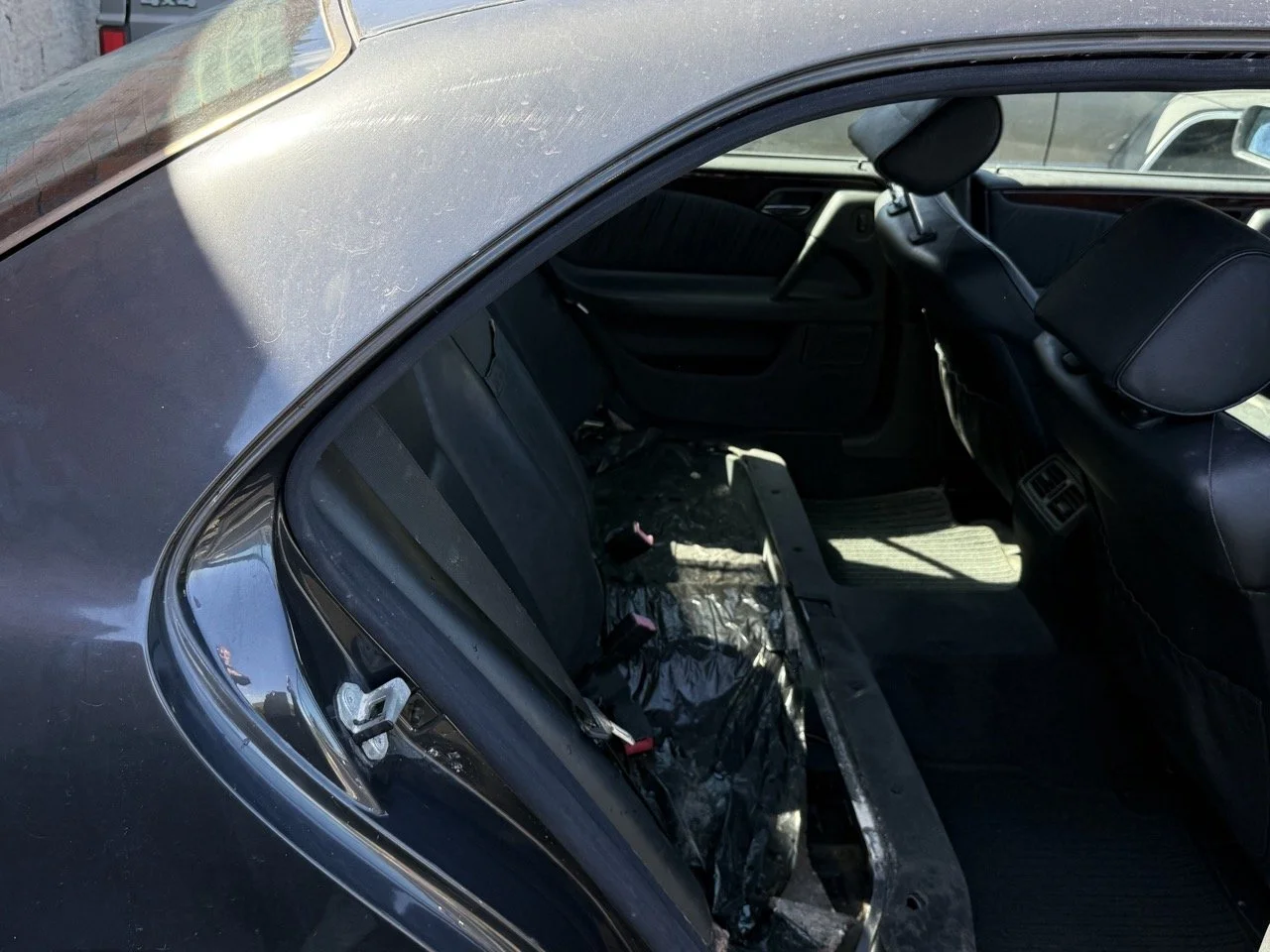 IMG_1750 – grande.jpeg