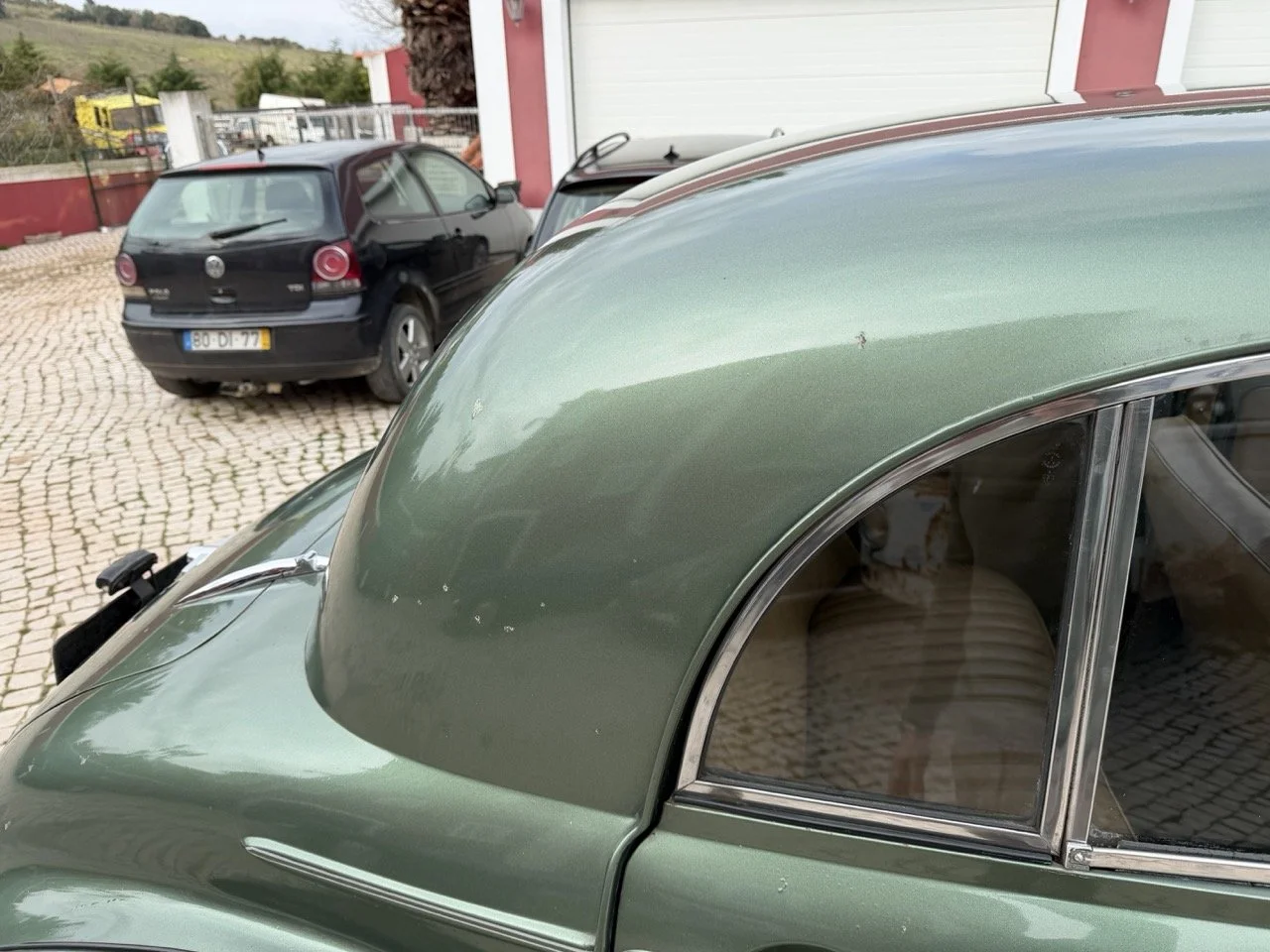 IMG_9858 – grande.jpeg