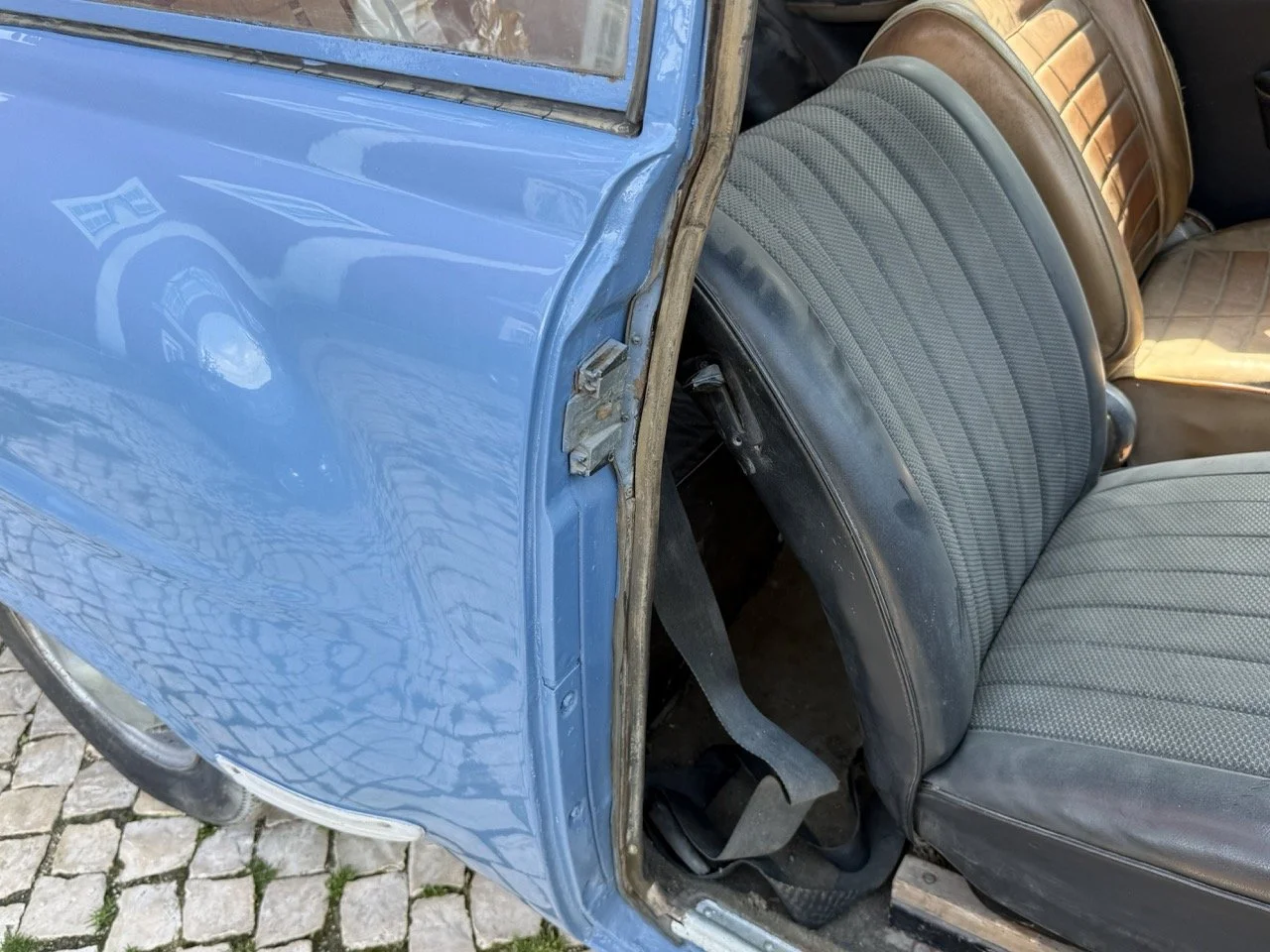 IMG_3550 – grande.jpeg