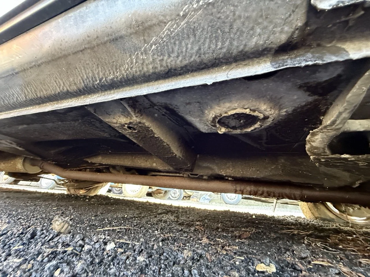 IMG_1234 – grande.jpeg