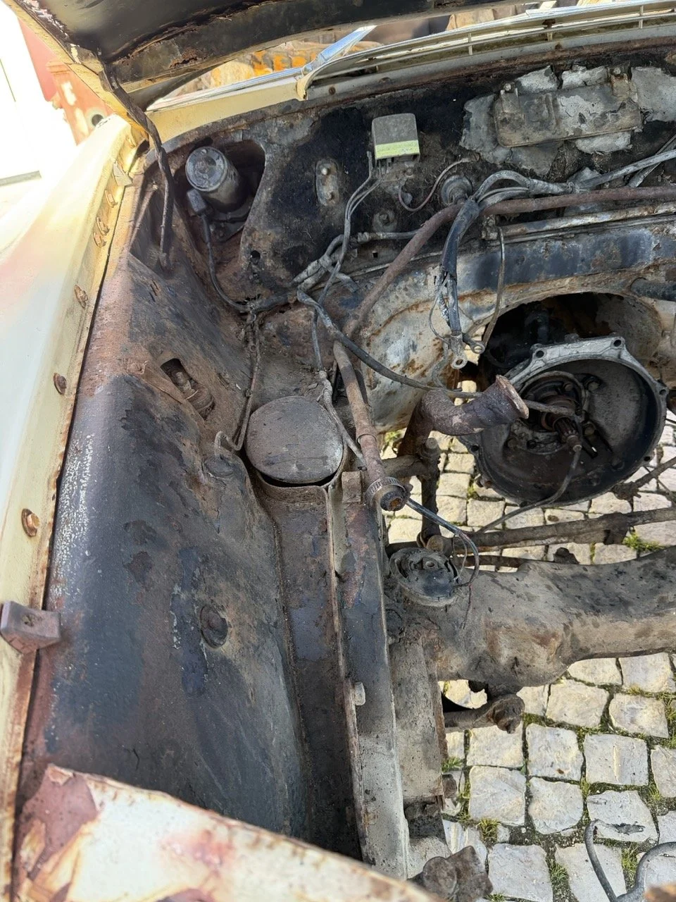 IMG_7103 – grande.jpeg