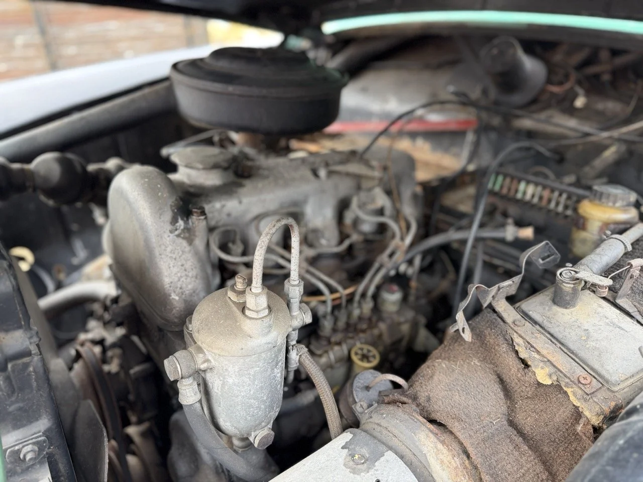 IMG_4980 – grande.jpeg