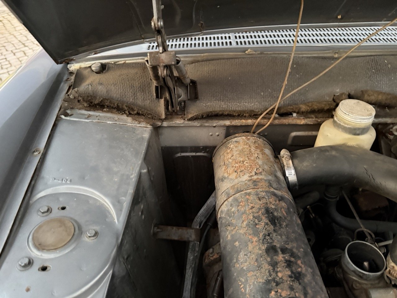 IMG_7512 – grande.jpeg