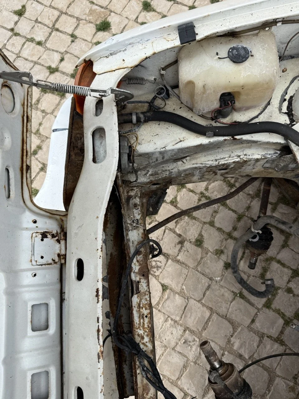 IMG_8551 – grande.jpeg