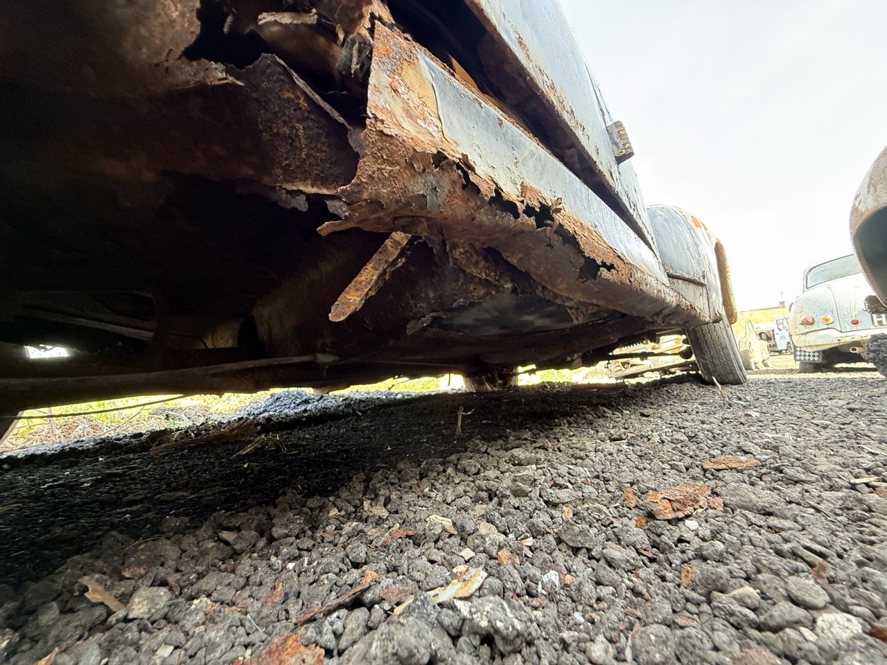 IMG_0425 – grande.jpeg