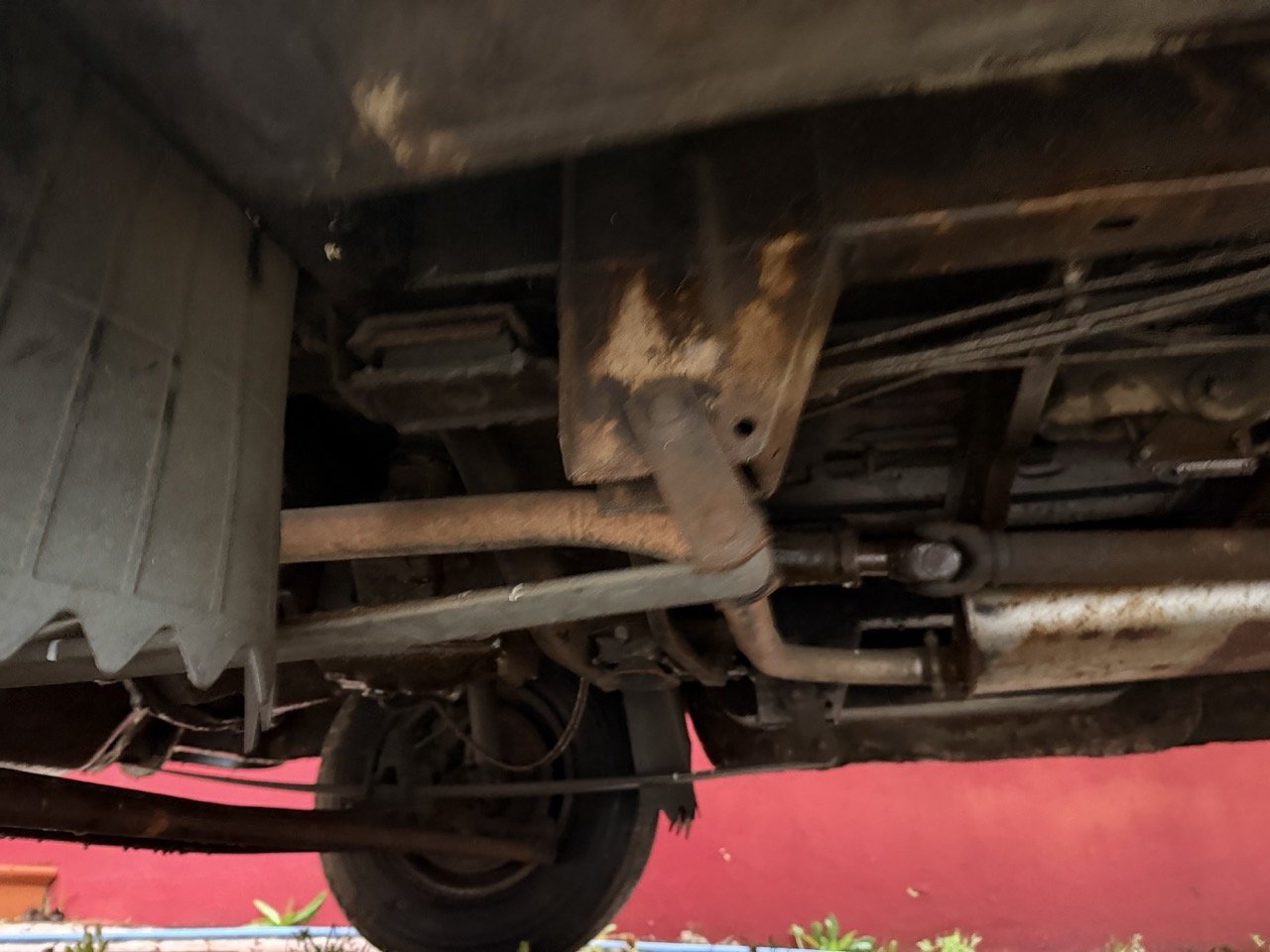 IMG_9981 – grande.jpeg