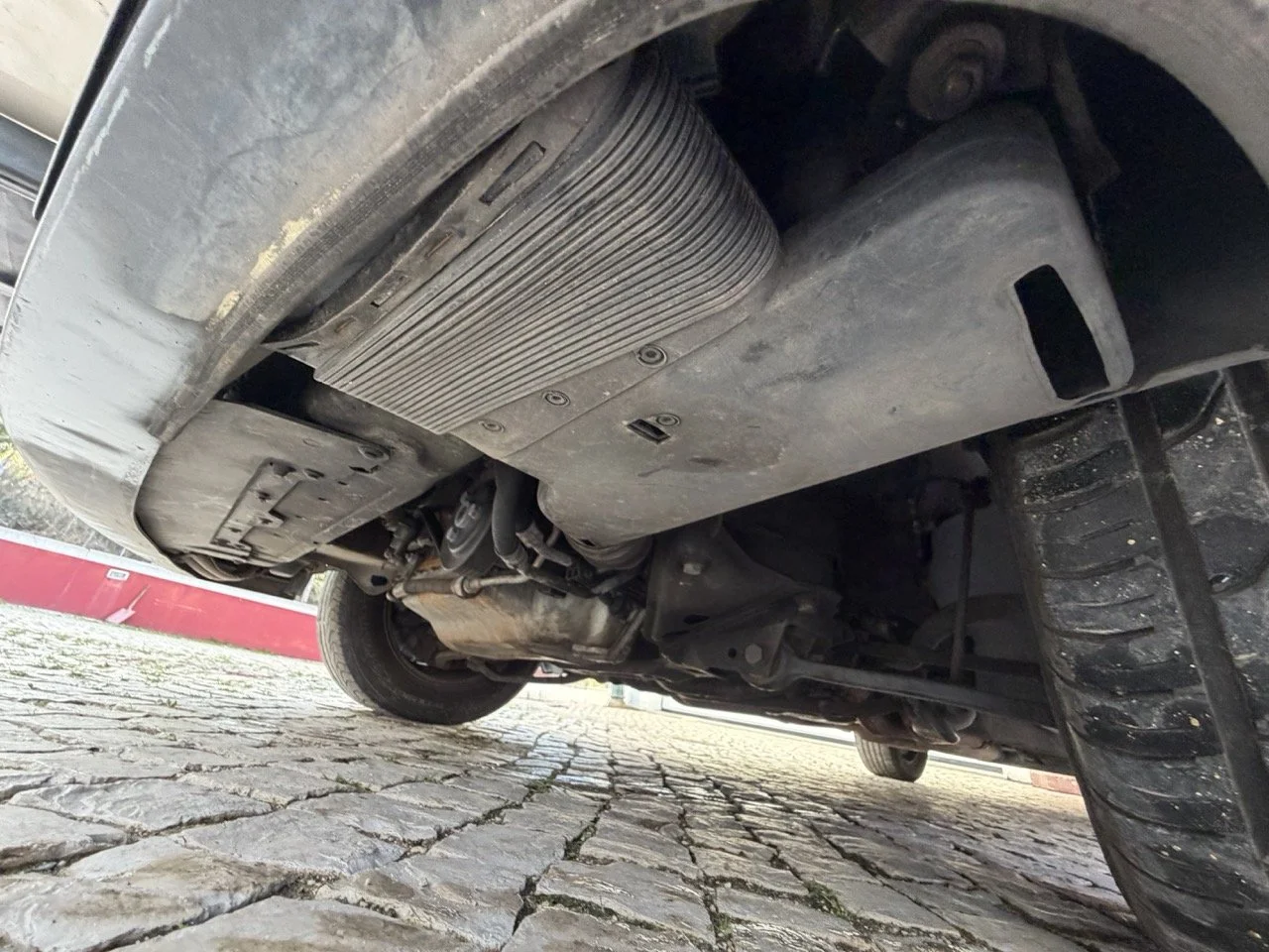 IMG_7023 2 – grande.jpeg