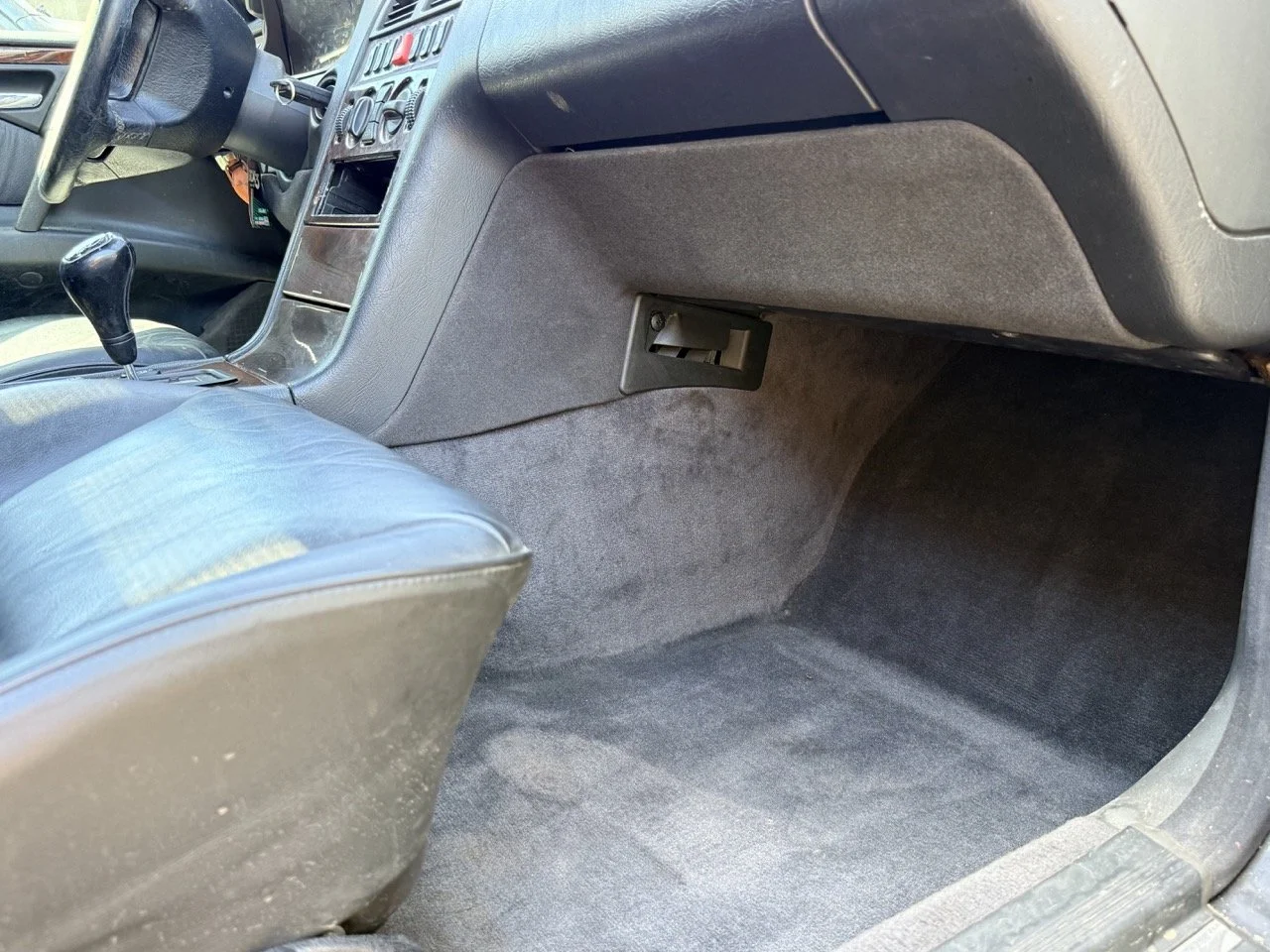 IMG_1778 – grande.jpeg