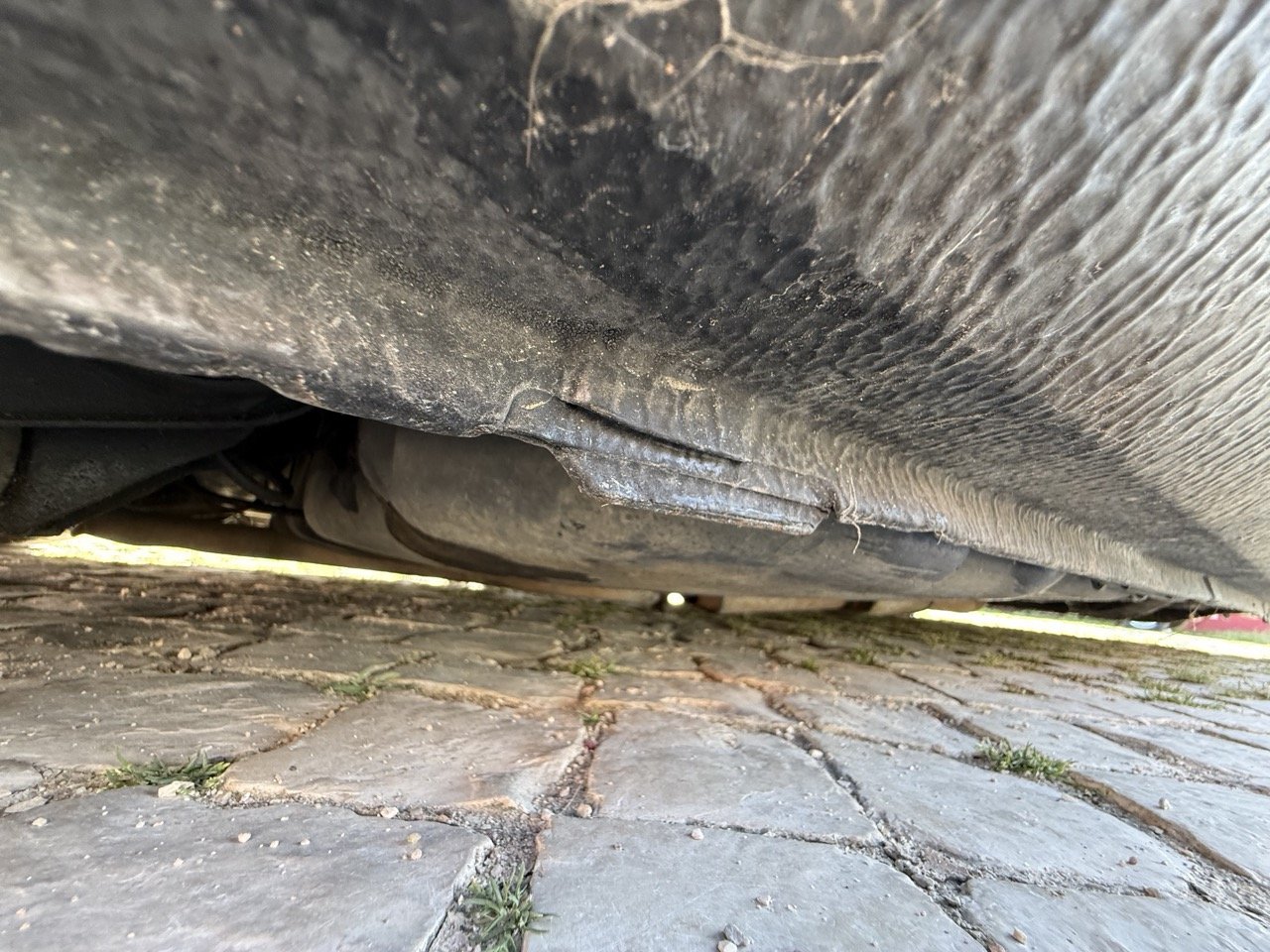 IMG_2631 – grande.jpeg