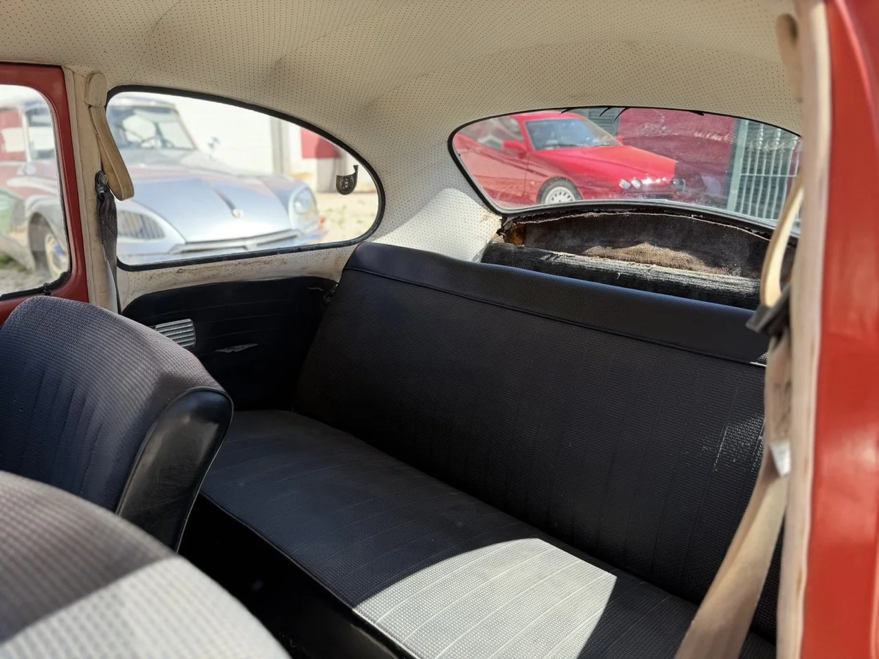 IMG_7524 – grande.jpeg